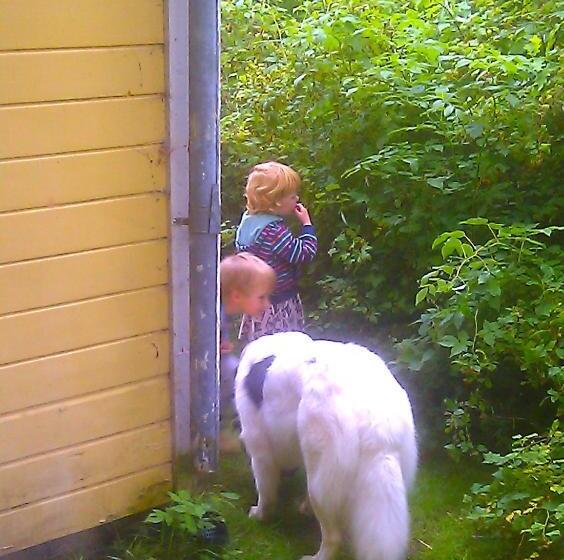 Boråkra Bed & Breakfast