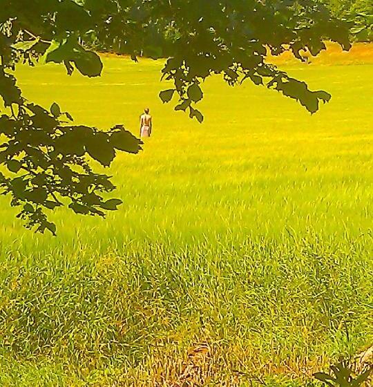 Boråkra Bed & Breakfast