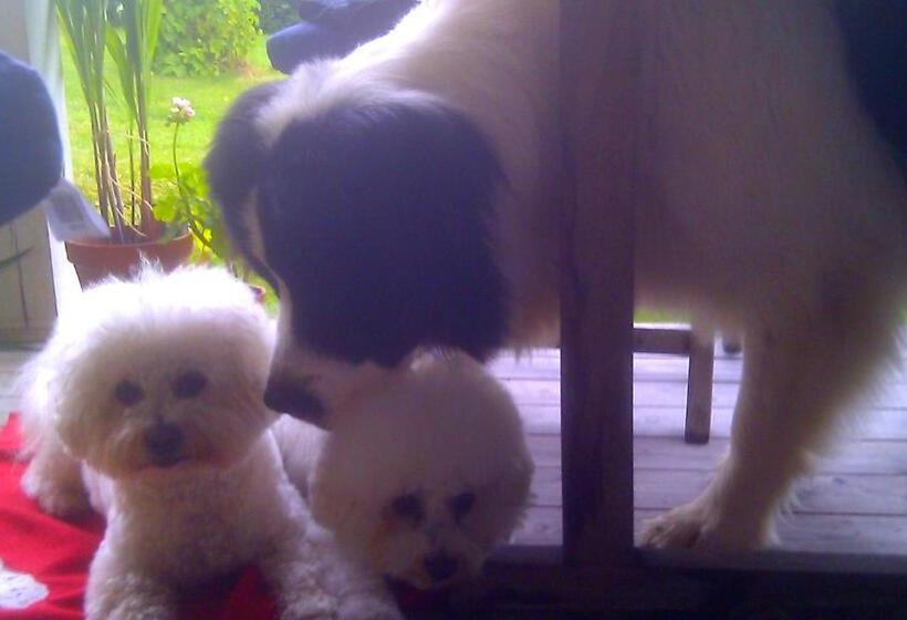 Boråkra Bed & Breakfast