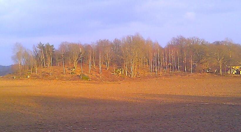 Boråkra Bed & Breakfast