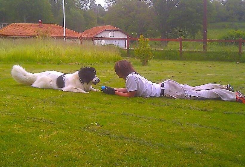 Boråkra Bed & Breakfast