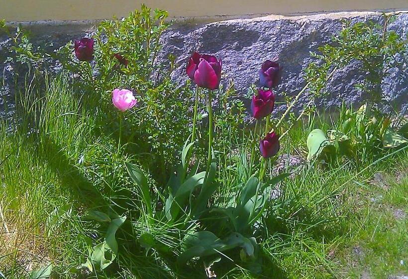 Boråkra Bed & Breakfast