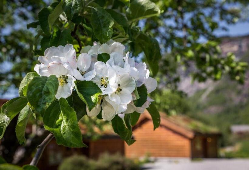 Gaupnetunet Hotell Og Hytter