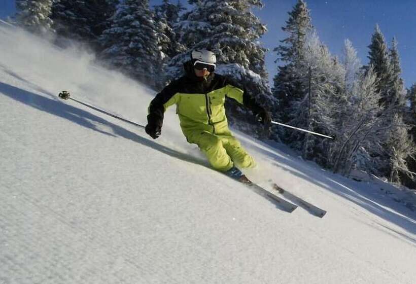 Hornsjø Høyfjellshotell