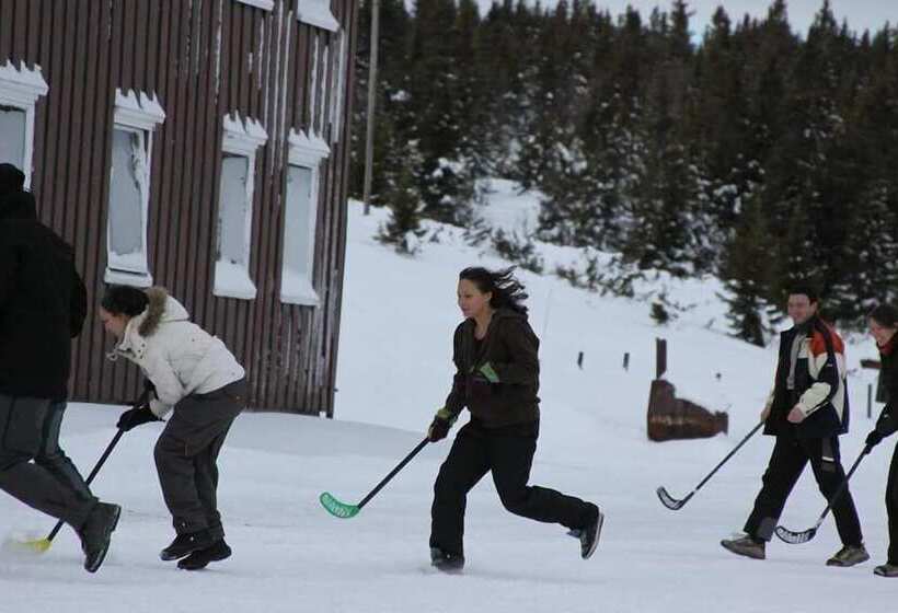 Hornsjø Høyfjellshotell