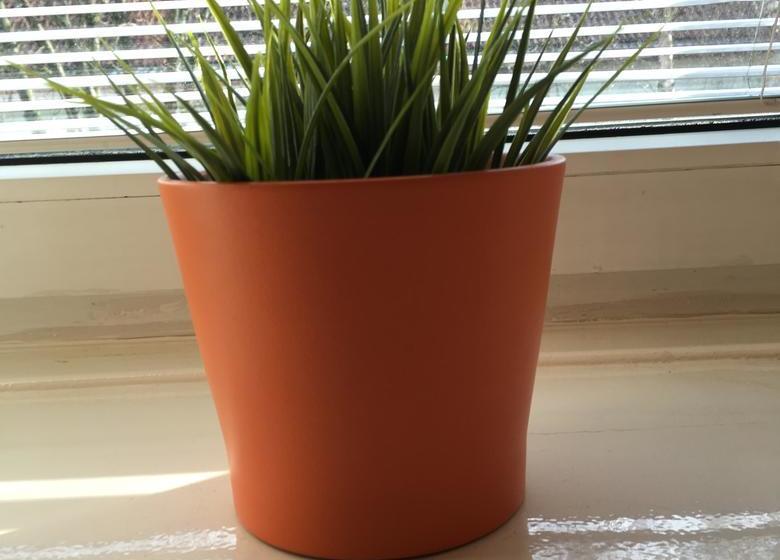 הוסטל Mikalo House