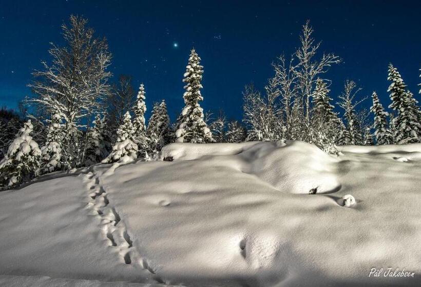 ホテル Breidablikk Guesthouse