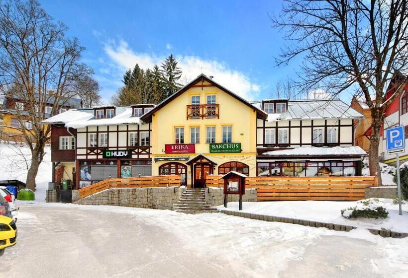 בית מלון כפרי Erika