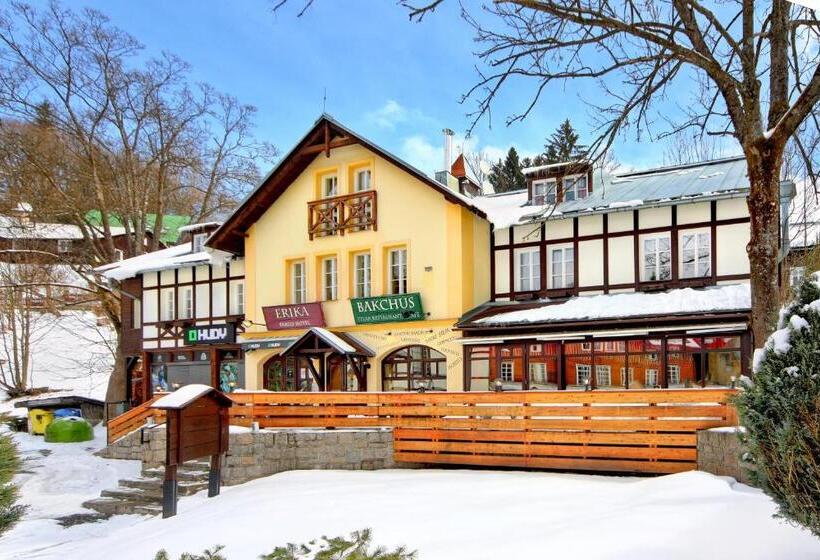 בית מלון כפרי Erika