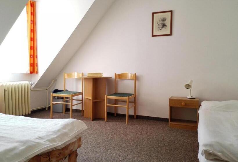 בית מלון כפרי Gradl