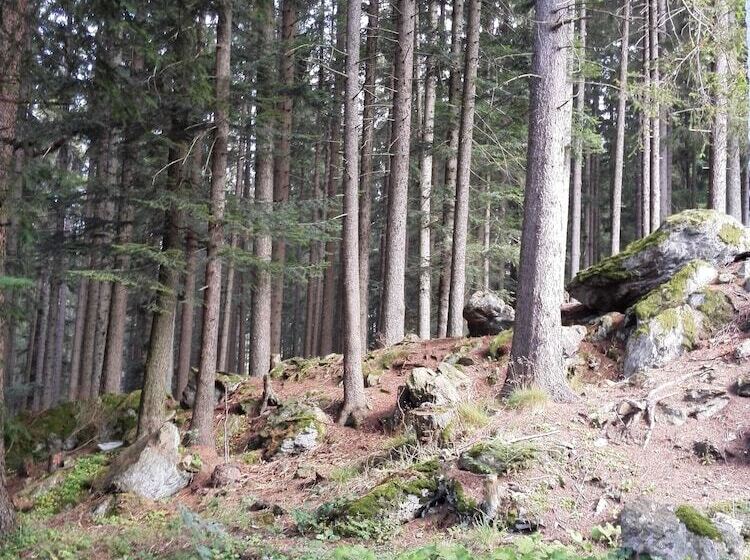 בית מלון כפרי Gradl