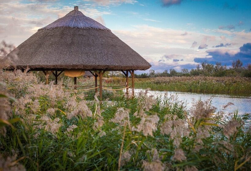 Отель Green Village Resort