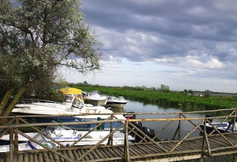 Отель Green Village Resort