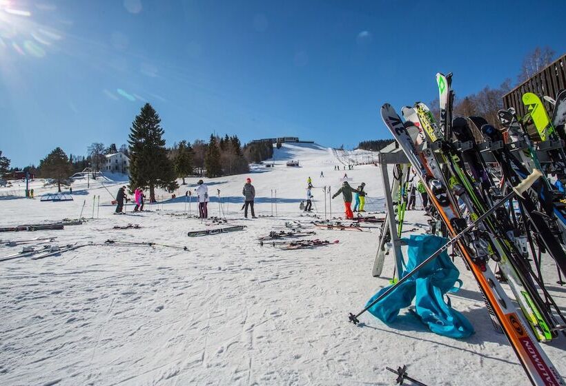 호텔 L Hallstaberget