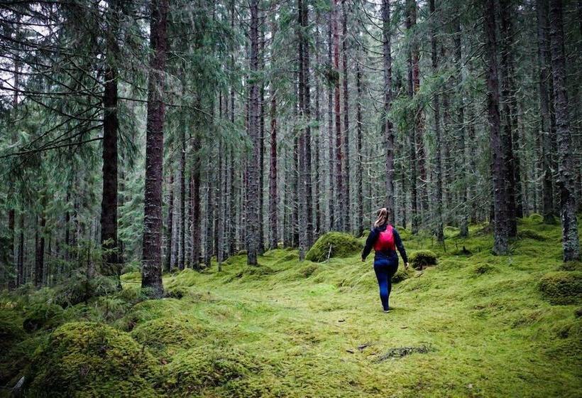 호텔 L Hallstaberget