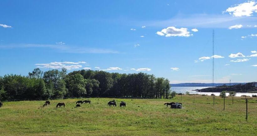 ホテル L Jeløy Radio