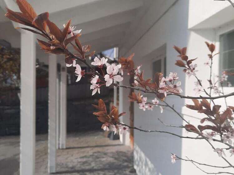 فندق Lilland Brewery