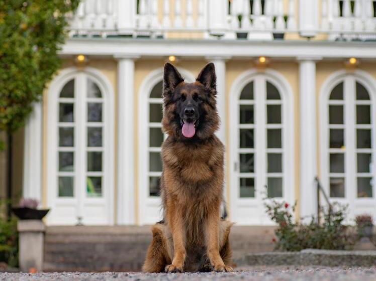 Отель Munkedals Herrgård