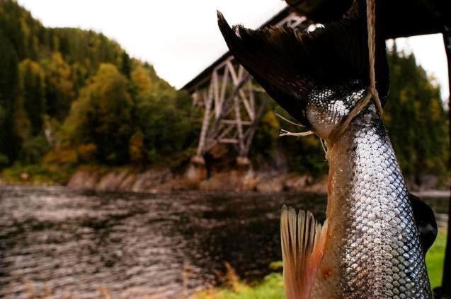 בית מלון כפרי Namsentunet
