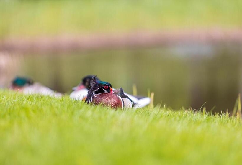 هتل Pajūrio Sodyba