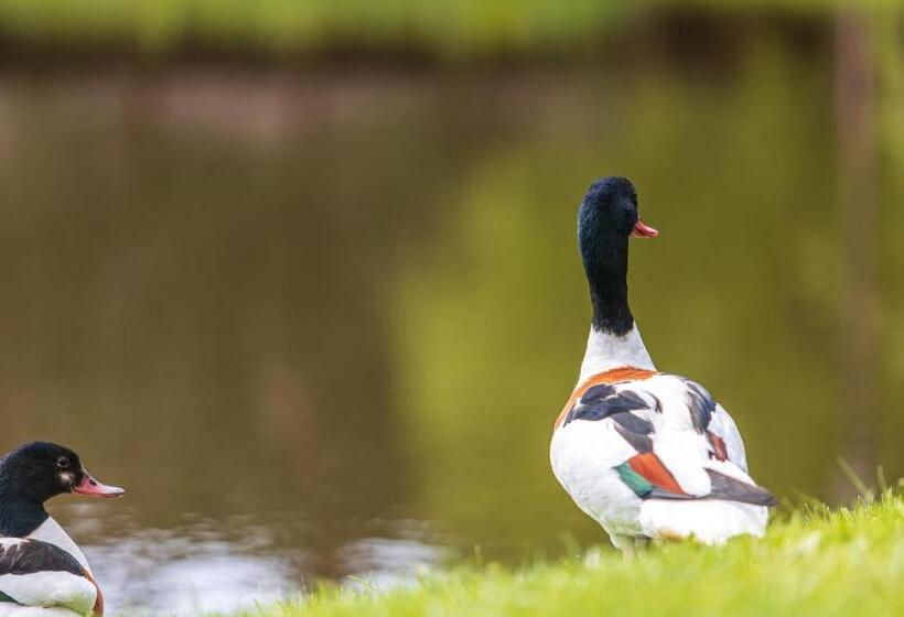 هتل Pajūrio Sodyba