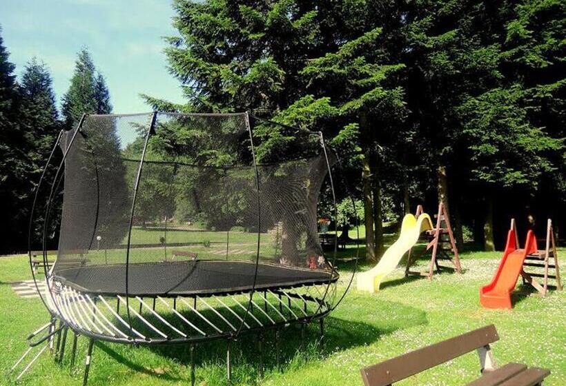 Отель Pension Konopiste