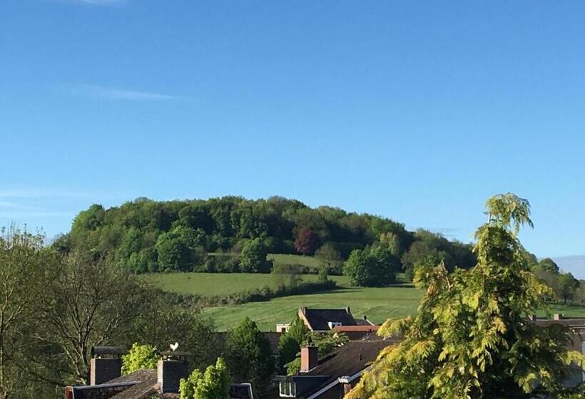 בית מלון כפרי Salden