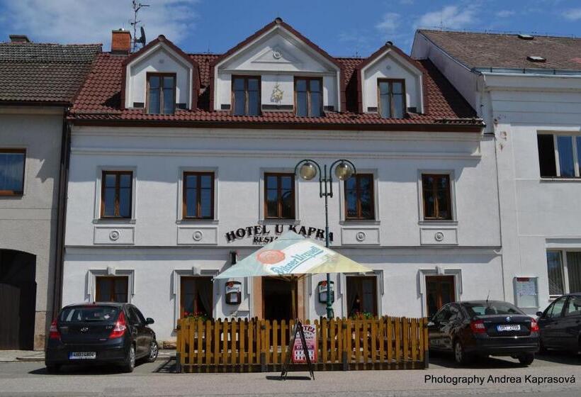 酒店 U Kapra