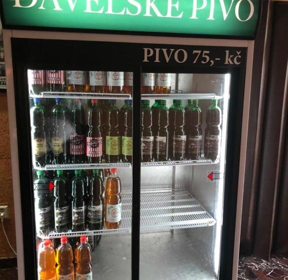 호텔 V Pivovaře Davle