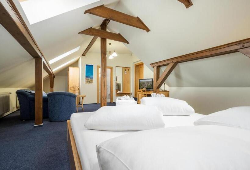 בית מלון כפרי Zlaty Lev