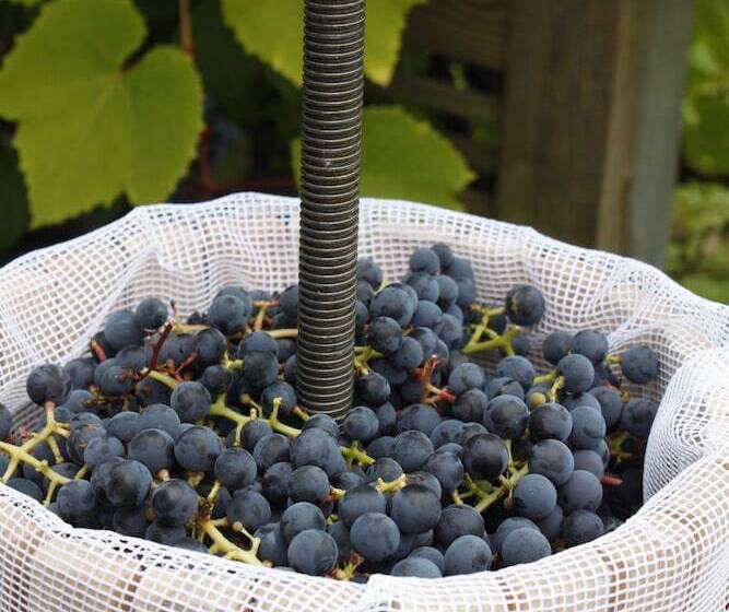 L Zlafen Bed And Breakfast