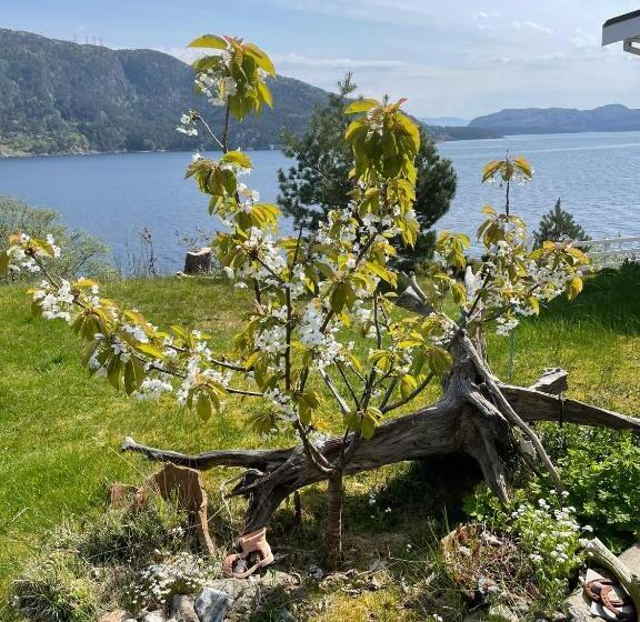 Langenuen Motel & Camping