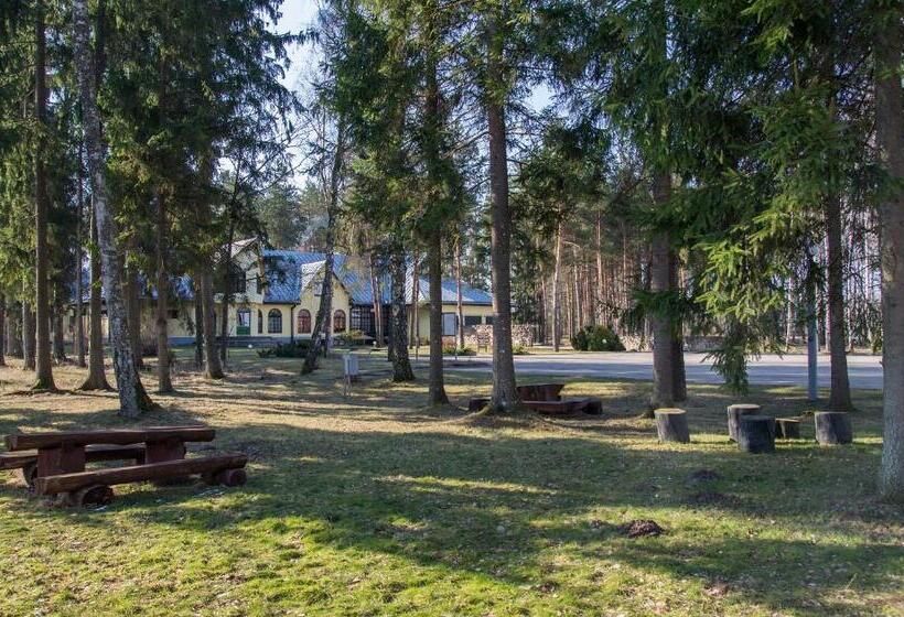 Motel Brencis