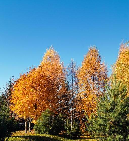 Motelis Smagratis Kretinga