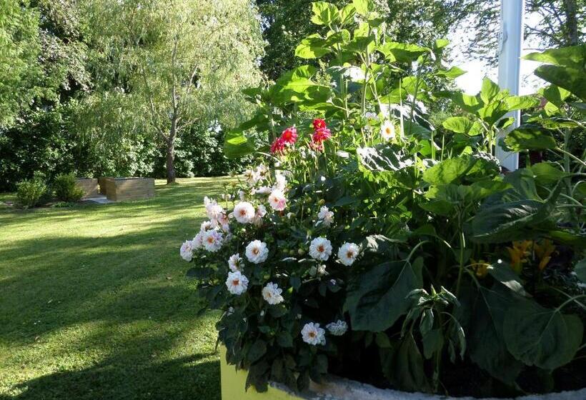 Skogis Bed & Breakfast