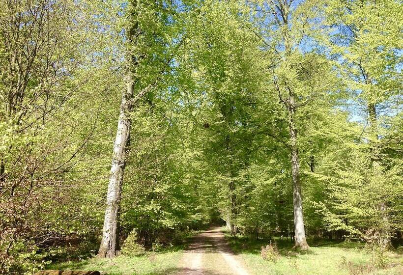 Tryde 1303 B&b På österlen