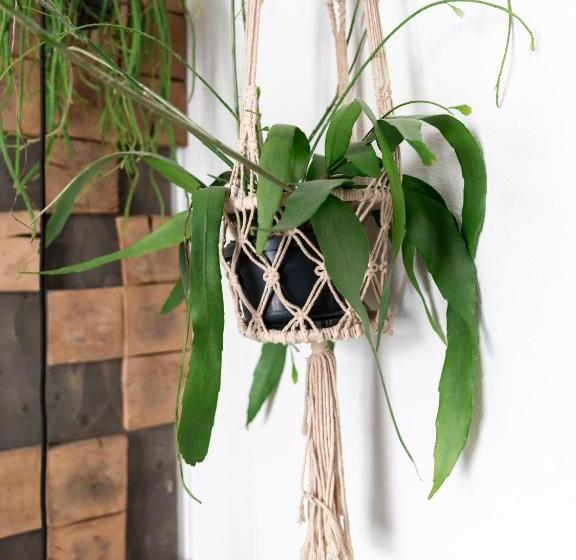 Wolf Hotel Kitchen & Bar