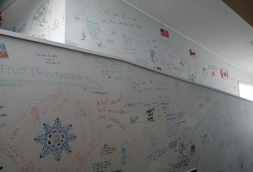 旅馆 Berkenhoff Lodge