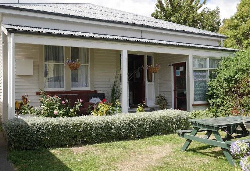 Общежитие Bon Accord Backpackers