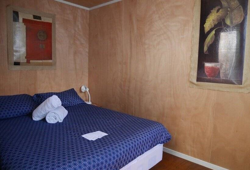 Общежитие Bon Accord Backpackers