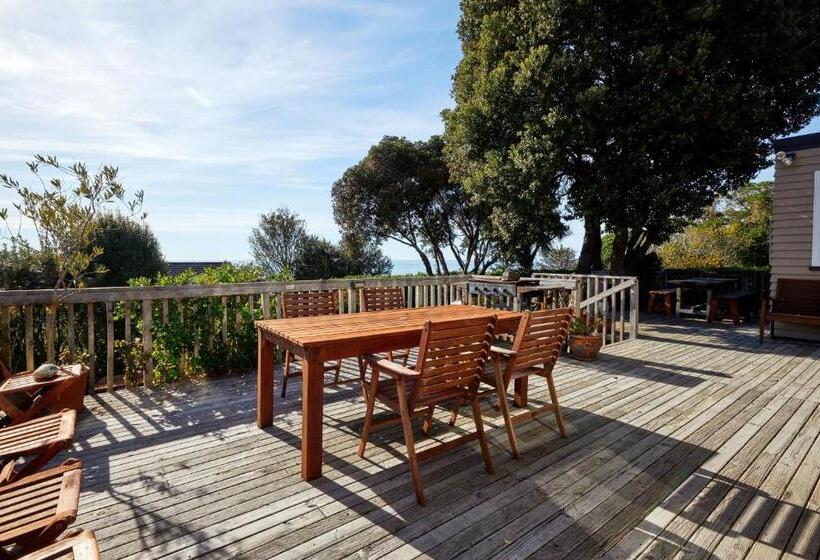 هاستل Dolphin Lodge