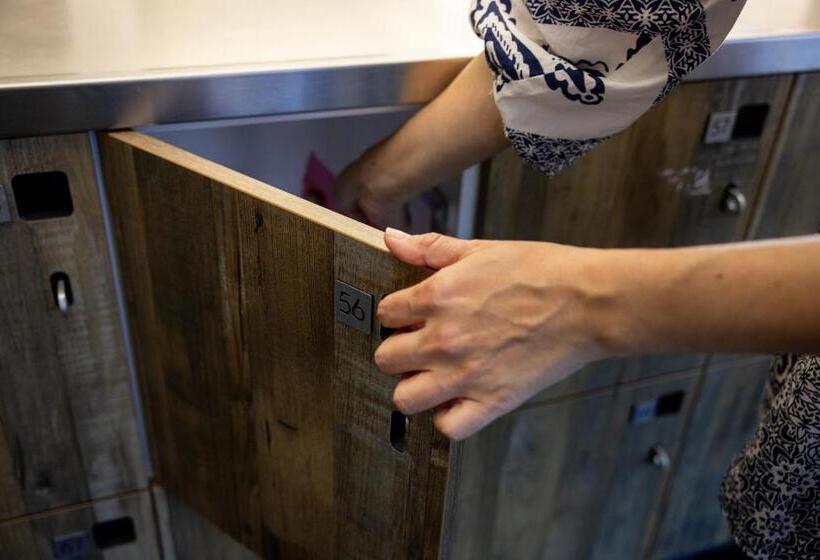 הוסטל Haka House Lake Tekapo