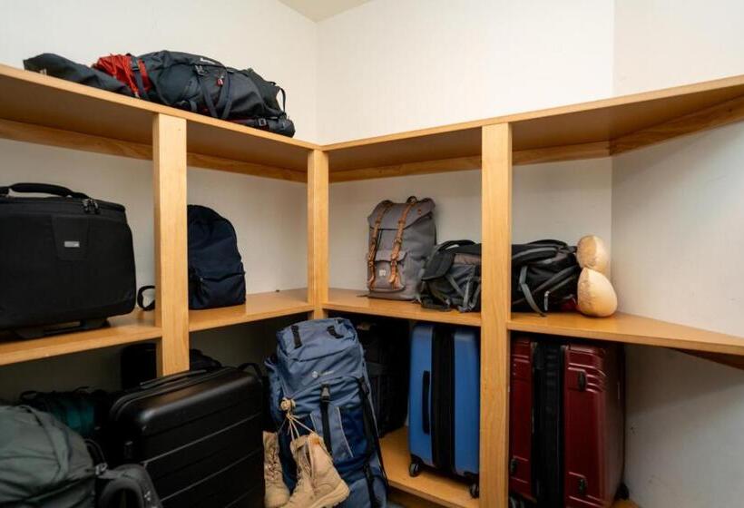 הוסטל Haka House Lake Tekapo