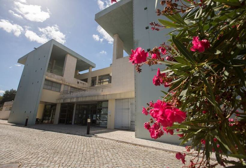 호스텔 Hi Abrantes – Pousada De Juventude