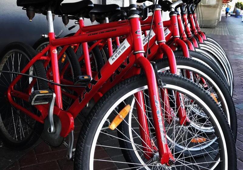 호스텔 Mount Backpackers