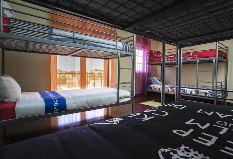 旅馆 Next Level Surf Camp