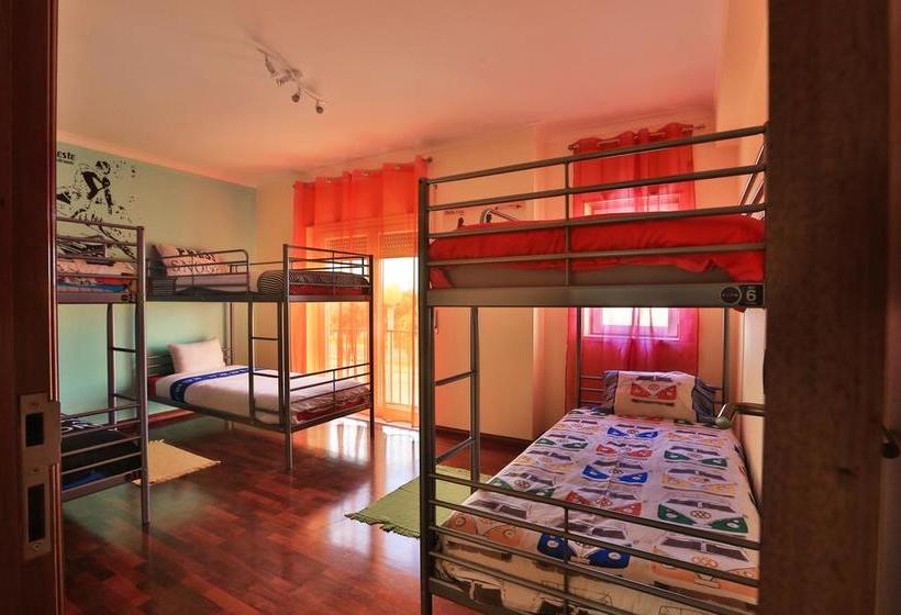 旅馆 Next Level Surf Camp