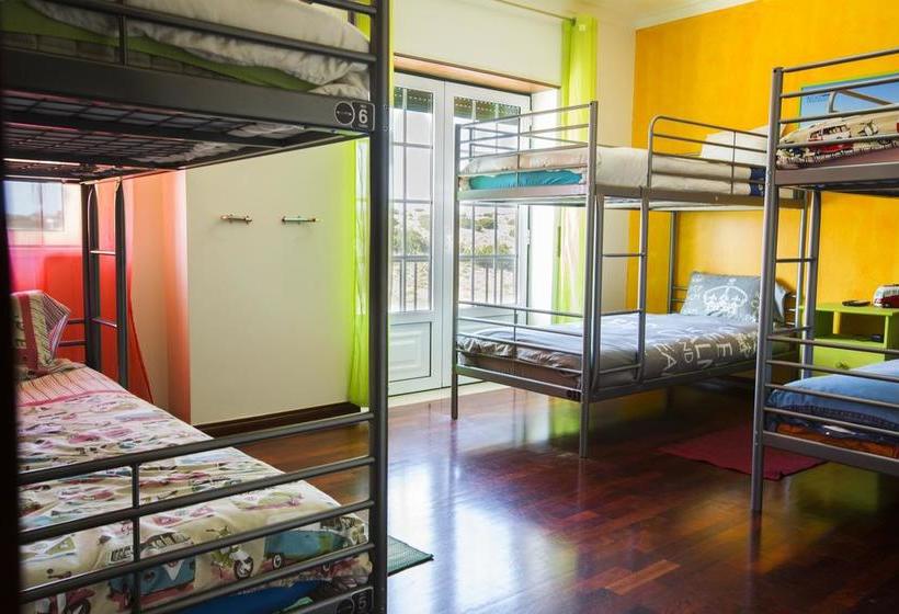 旅馆 Next Level Surf Camp