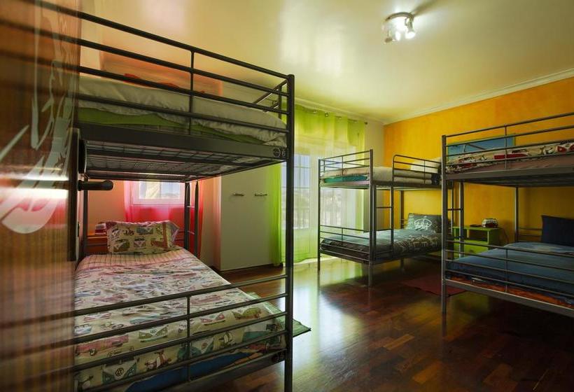 旅馆 Next Level Surf Camp