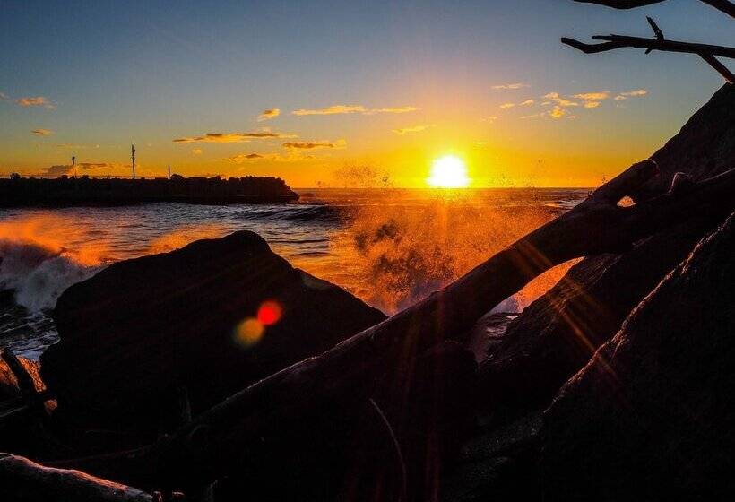 הוסטל Noah's Ark Backpackers